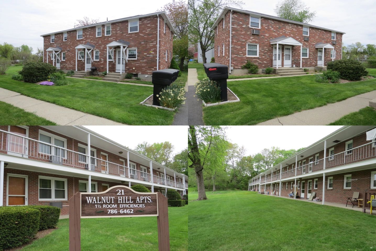 TERMS Olson Apartments